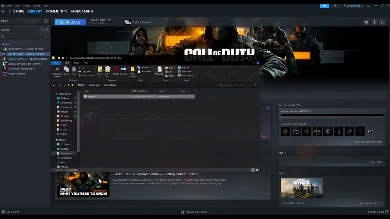 Black Ops 6 startup crash errors 0x00001338 N and 0xc0000005 N