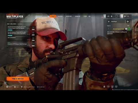 Black Ops 6 unable to connect to online services