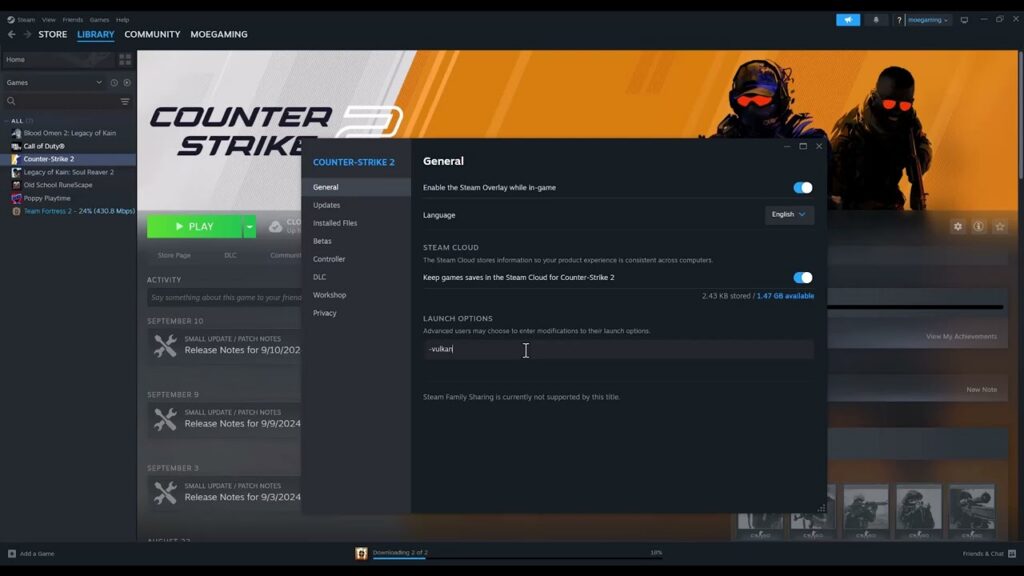 Fix Counter-Strike 2 CRenderDeviceMgrDx11::CreateDevice Error