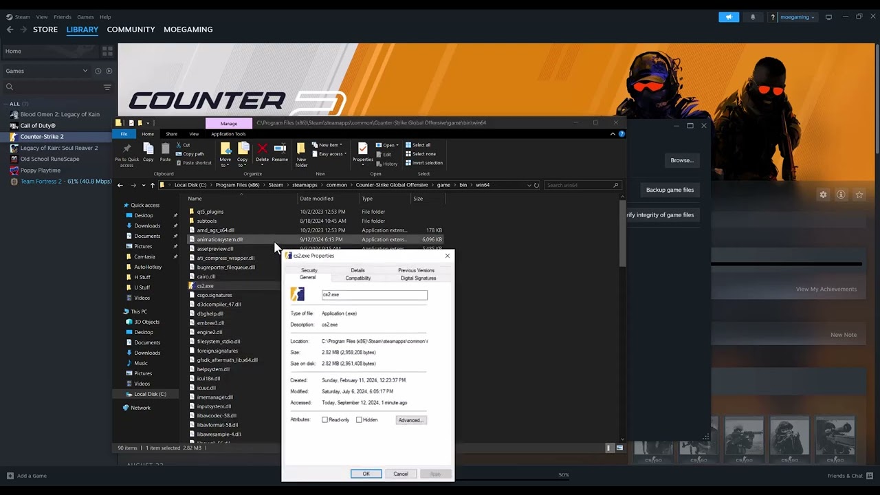 Counter-Strike 2 error reading from loaded packed store
