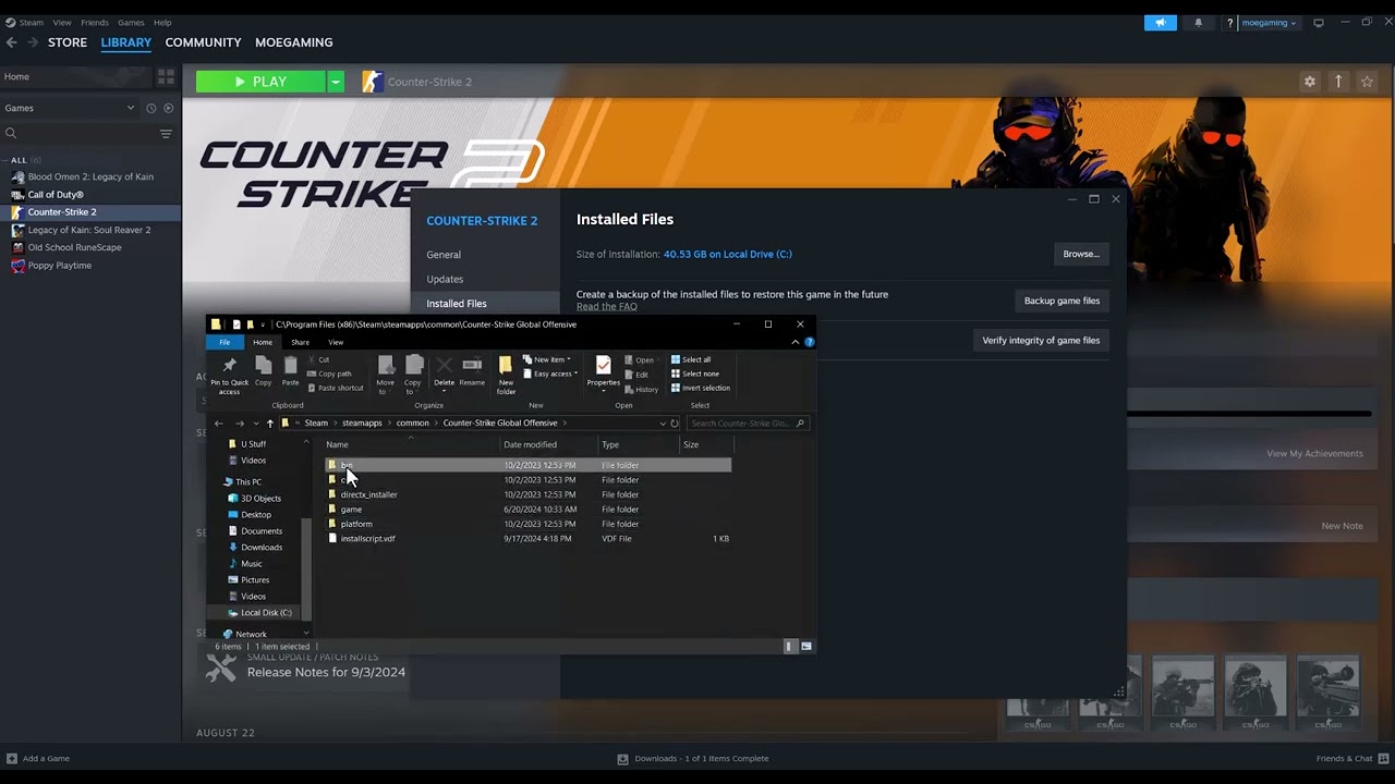 Counter-Strike 2 invalid signature error troubleshooting